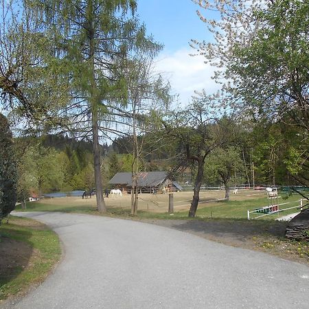 Haus Maria Villa Arnoldstein Exteriör bild